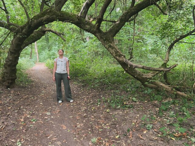 Kraft tanken in der Natur, bevor es mit großen Schritten auf die Frankfurter Buchmesse zugeht. Wo findet ihr Kraft und Erholung? #natur #see #wald #literaturagenturlh